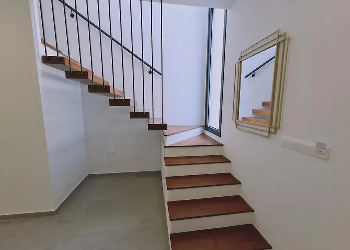 Anemone 19 * 프로타라스