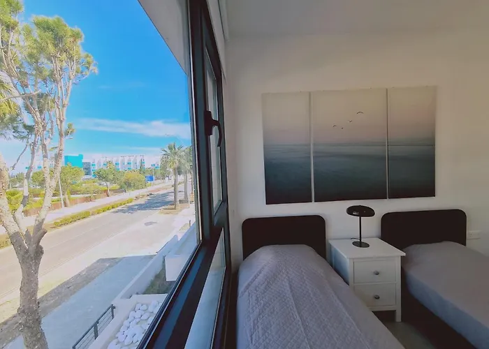 Anemone 19 * Protaras