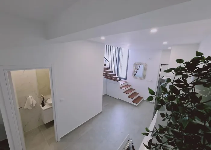 Anemone 19 프로타라스